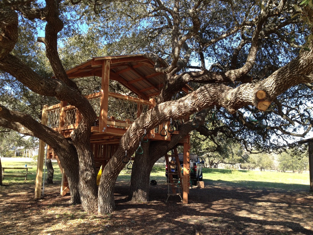 Eastern Red Cedar Treehouse In Round Top, Texas 